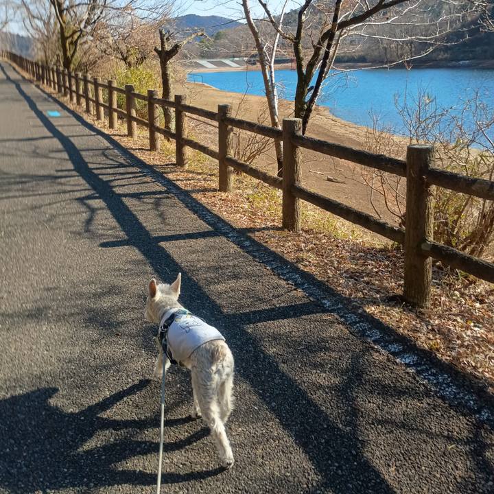 Bac68219 e333 4c29 87aa 30851e3c3a8e 1770897749531