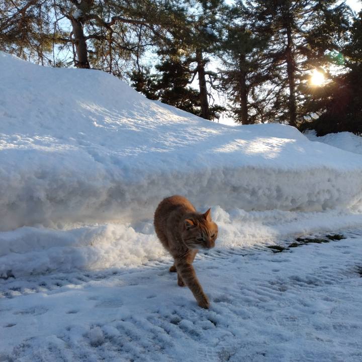 Bac6d730 2a7a 4c70 aa5a 75a1de360a59 1737269432095