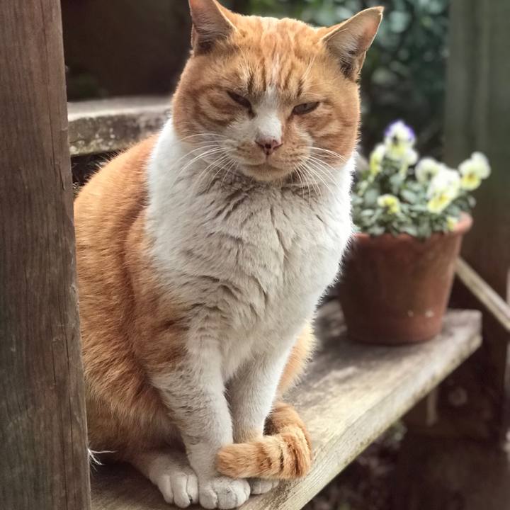 Bac6f5c6 82bf 474c 9016 a0352ee6b02b 1518341185711