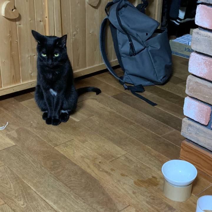 Bac703fa a11c 4355 bcea 3a47229c977b 1583237349973