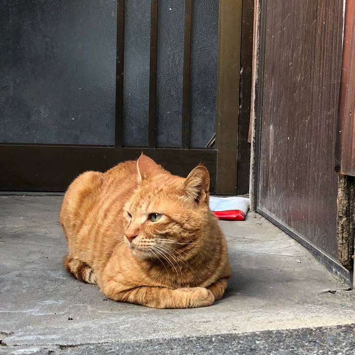 Bac713b1 fc33 47c2 9c5c cbc3db0649d2 1523522474084