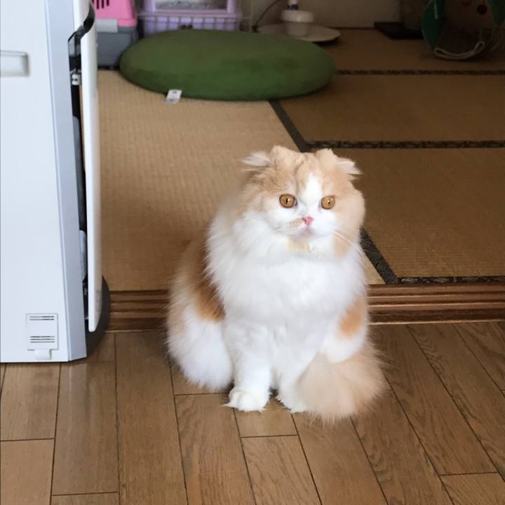 Bac729c4 5883 4c7a 8950 0921ffc95d23 1525508610853