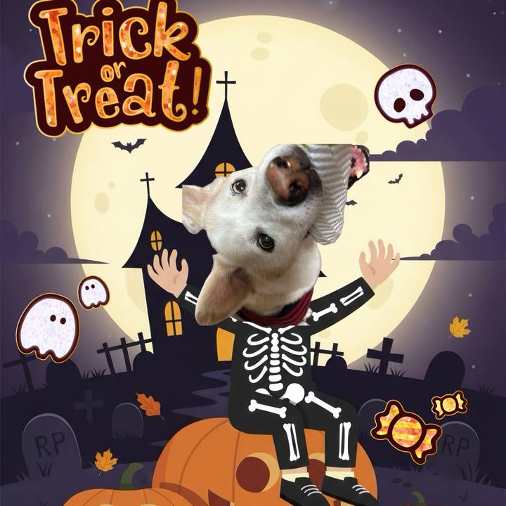 Bac740ea d39a 4b12 9435 ff2122f78c0d 1761837202110