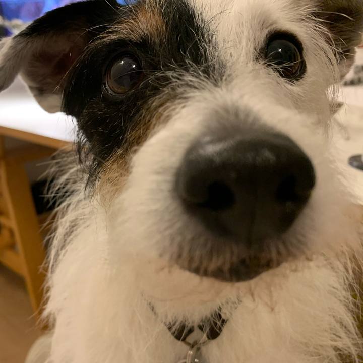 Bac75be8 1418 41ac 9e27 40acc7c4be40 1715600588860