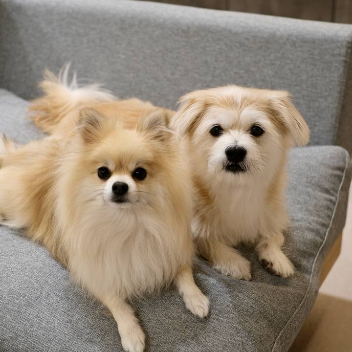 Bac78856 cad5 4b0a 8e01 835c57c34bf8 1763155557780