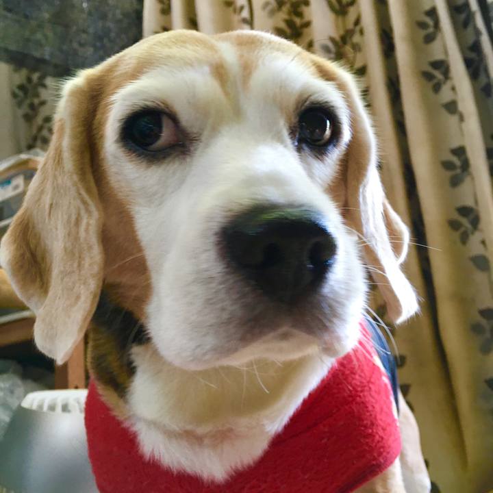 Bac7905f 934c 4a52 94d6 762d2def02e5 1577852748404