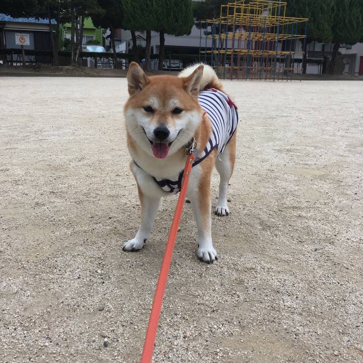 Bac790f5 8f44 4c12 8ddd 8baee2c597db 1535505588526