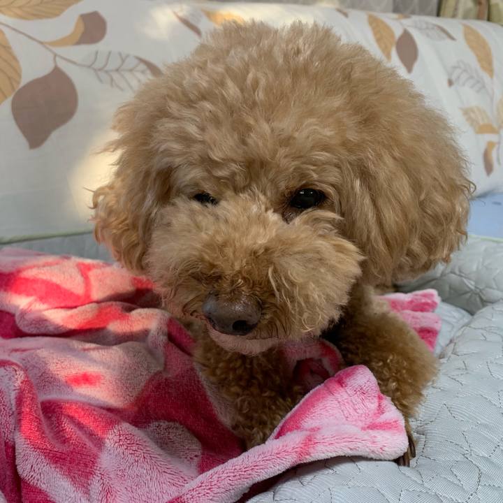 Bac7b44b a73a 4025 9660 8bf50c1a4ffa 1560288432489