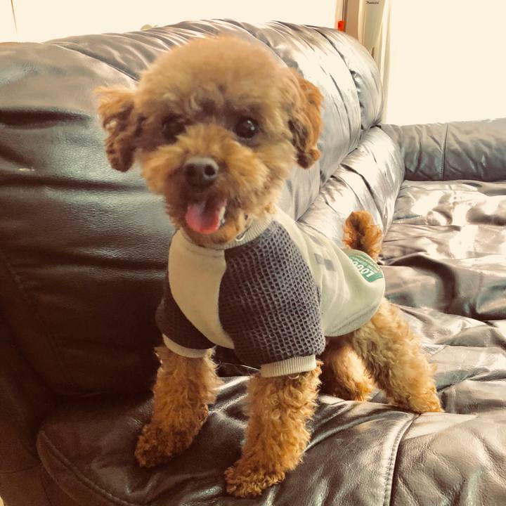 Bac7fe79 04b7 485b bc76 fc86b6c5137a 1550055248529