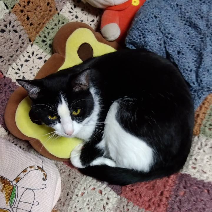 Bac81e14 ad7b 44ad 92a3 185d17f5ff07 1670682634723