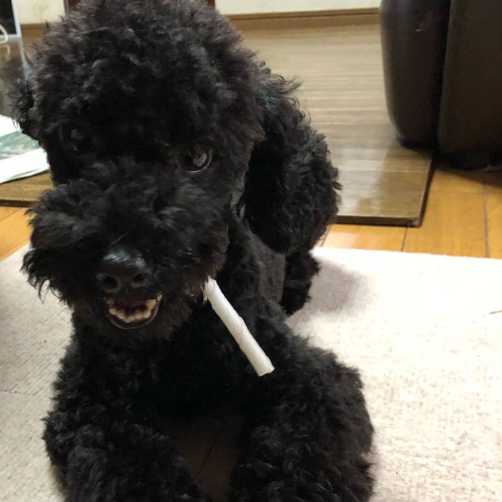 Bac82b12 9b65 44d9 a0e7 0ebc178ebac1 1536272106442