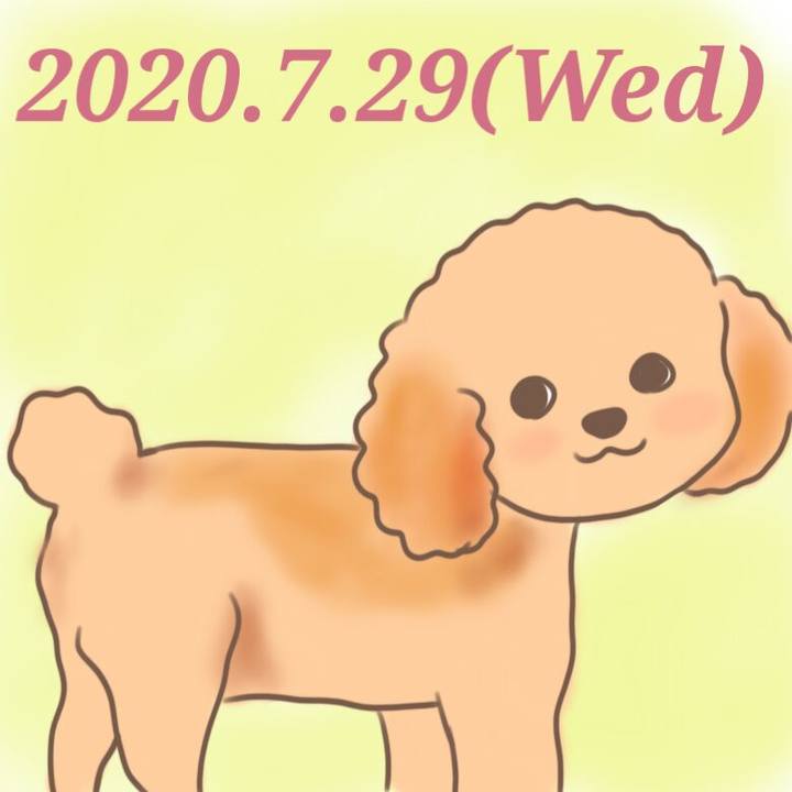 Bac8792d 843e 4af0 9e77 024b6501db73 1596021151438