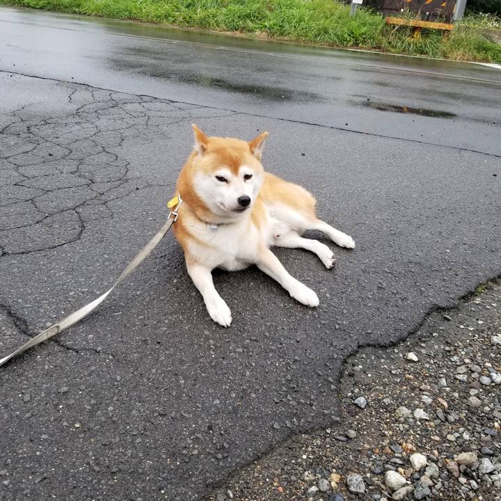 Bac88bc5 a70a 4d4b 8fbb b8a5e8658177 1570512425769