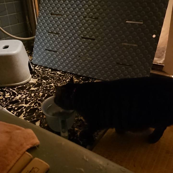 Bac8c8bb 5795 47f5 ae9e bedd563bb69f 1641205890021