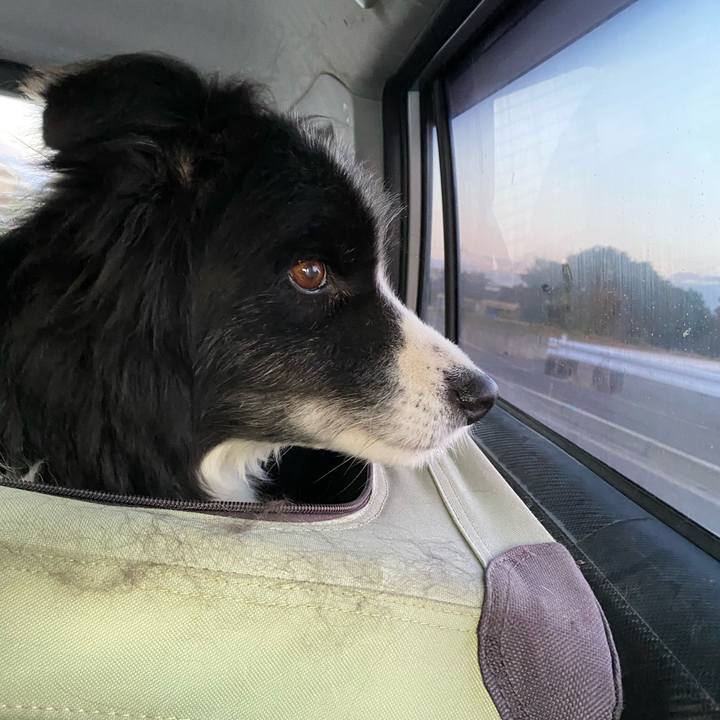 Bac8da72 f207 4c11 a55d ad4f5332f873 1700863627962