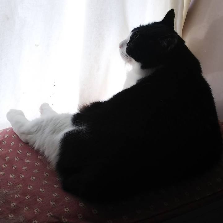 Bac8df3e 0a7a 40a5 98ef c34250ae57a0 1555204243146