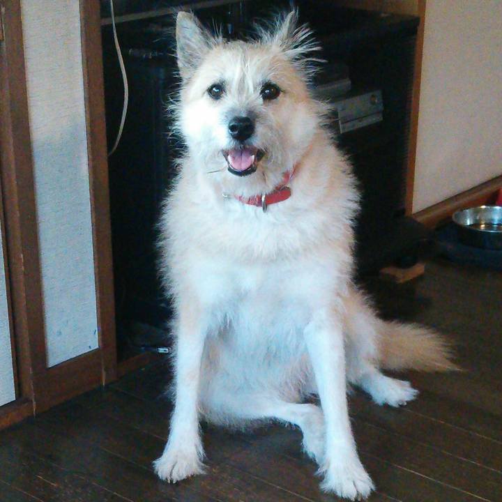 Bac90dac ffe3 49f1 b2f5 740537f2812e 1541811816295