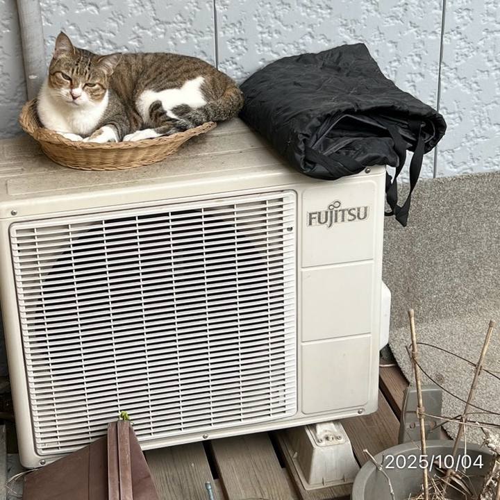 Bac91130 5703 4e9a b1dd 66ae7936f677 1759568661182