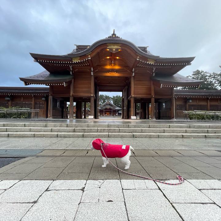 Bac921f7 e75f 41f1 acba c48b6f6b4cd3 1733007366288