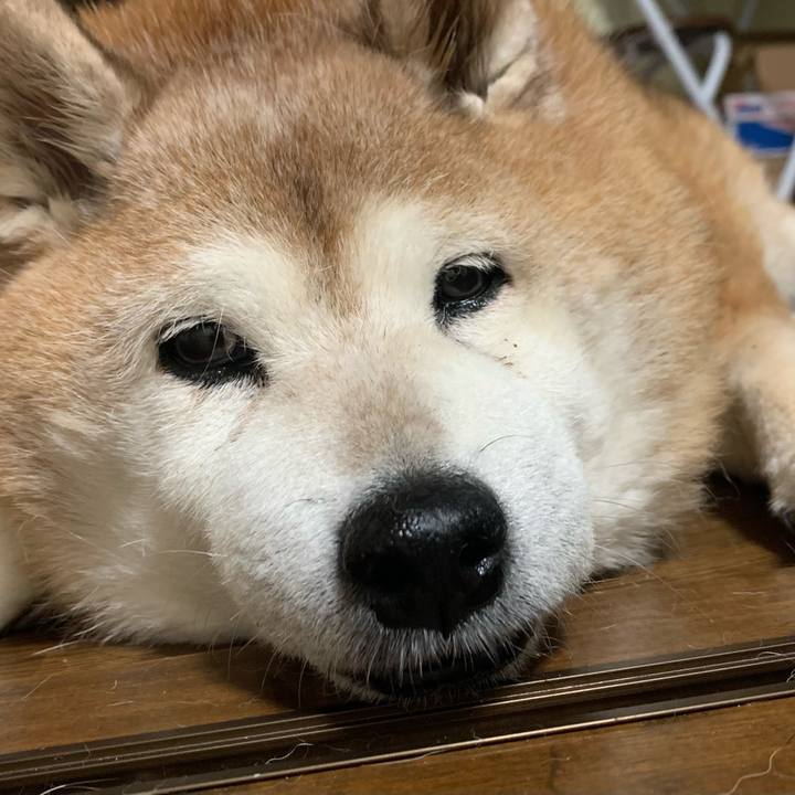 Bac952bd 29af 4922 ad5b 1222708b0368 1619008431158