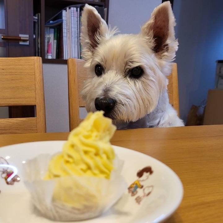 Bac96ad0 1eca 4cf1 a0d9 f452913bba29 1672459792737