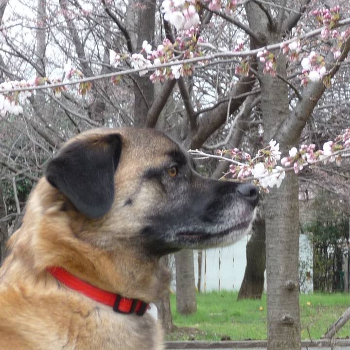 Bac97a08 984c 4f5e bfdf 02d232668077 1576885332738