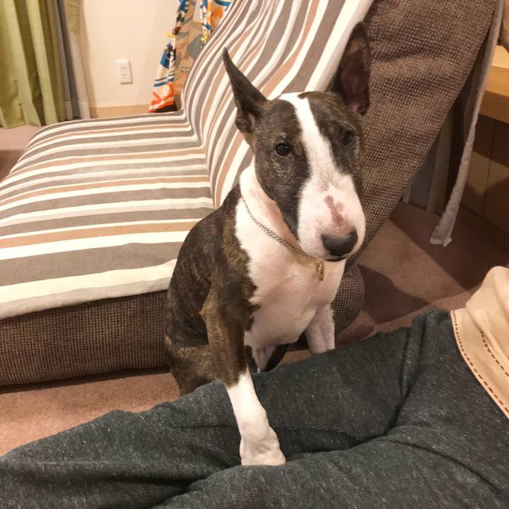 Bac989c9 455a 4943 b9bb 18506e66a978 1512899996610