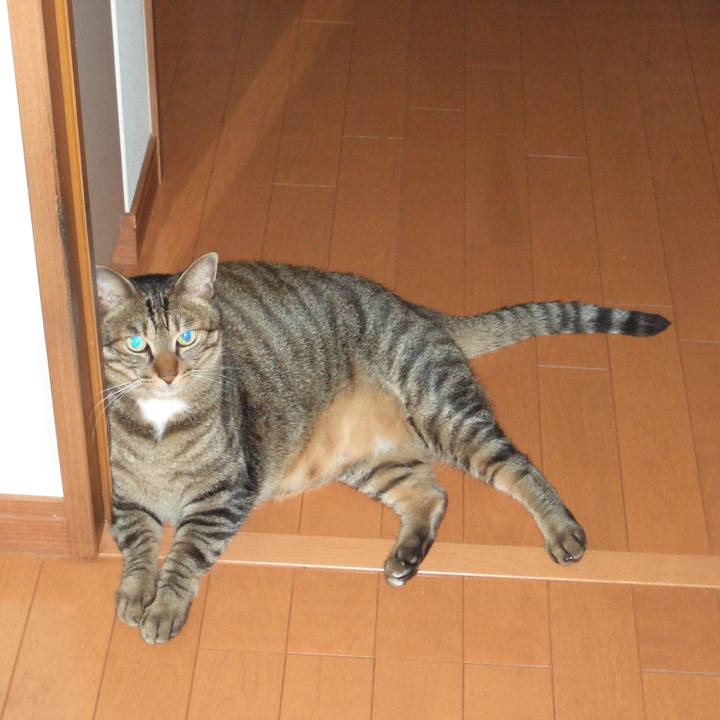 Bac9a406 a4f1 4640 b486 4a1109b59340 1637133380626