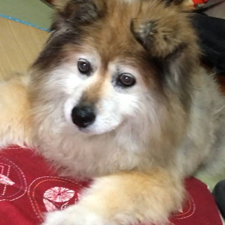 Bac9c48d 263d 4fa6 8936 d748a9288c0a 1609217847965