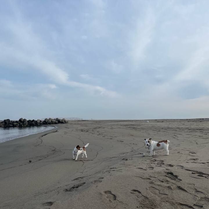 Bac9ee70 3637 4c0b aa5f 63fd4b45ab65 1647997128207