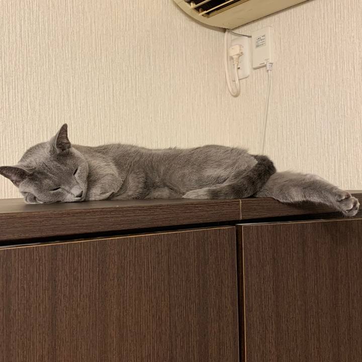 Bac9f11c 5ca0 433c 979c 5b694331537c 1637541002191