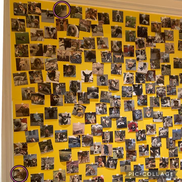 Baca1a7c 2a8e 40a5 ae83 046b2223390c 1774169191994