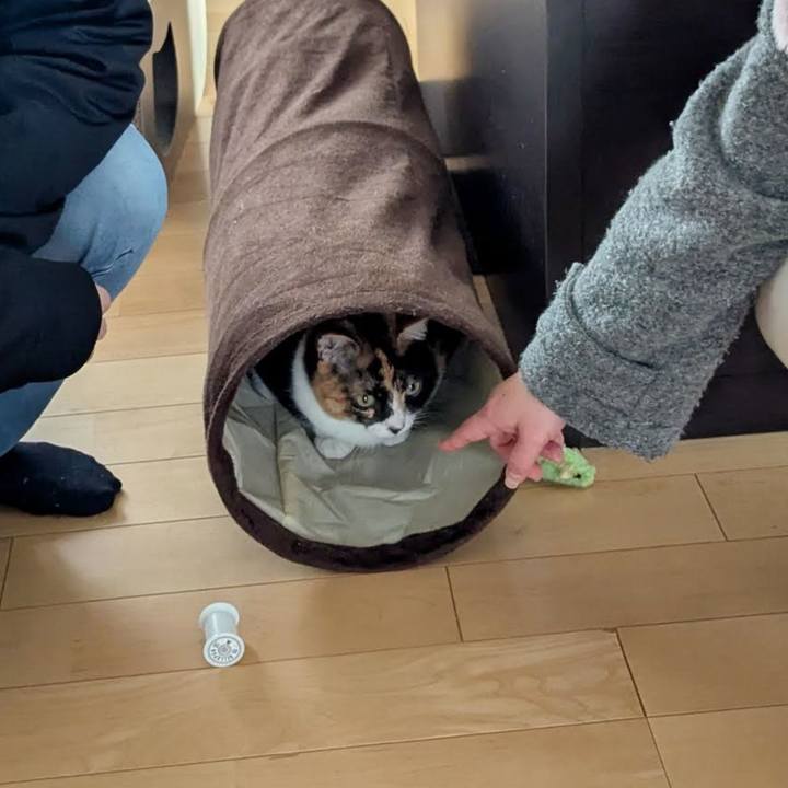 Baca6371 735f 4784 8e13 20b7c69b4291 1739172784134