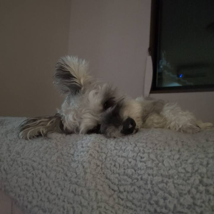 Baca8dc3 33fd 4655 b912 0e2887014d9d 1758112486997