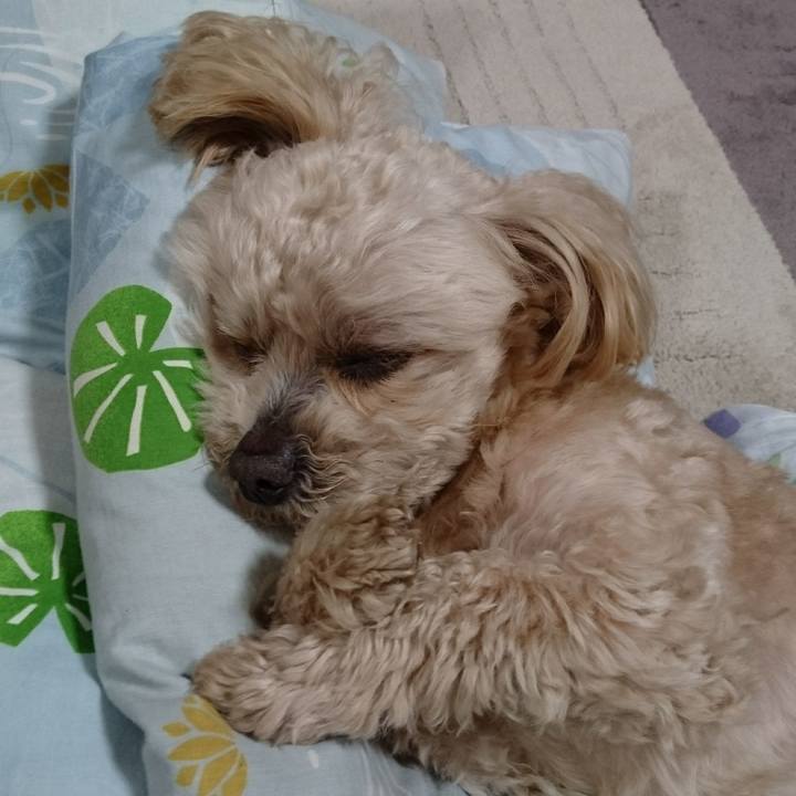 Bacabf64 783c 4737 83a1 3ffacc203d83 1618668187688