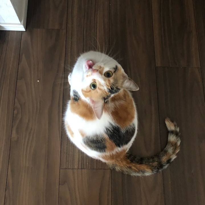 Bacae225 4ca6 462d a469 05ccdcd7d543 1591745786221