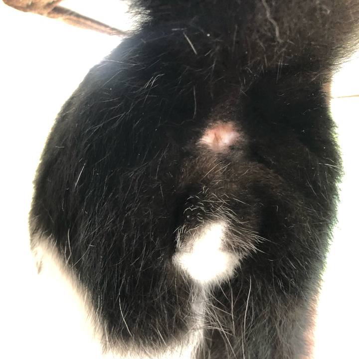 Bacae2c8 dbb4 4de7 a491 ef1bccdc1e9f 1568619866807