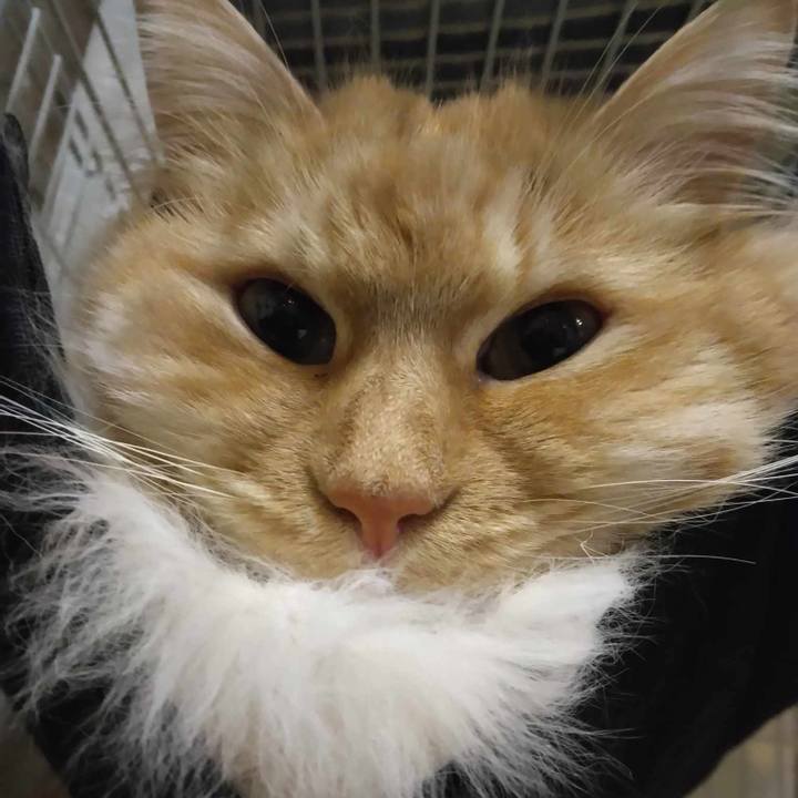 Bacaf8ff d073 461d 85ca 1c69e17473a9 1713785777976