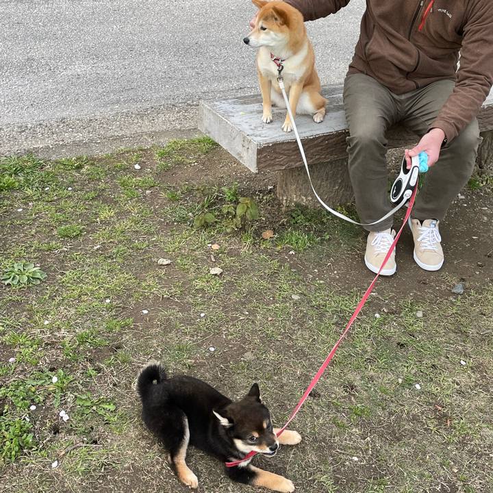 Bacafc27 5ee7 437f bf21 2b8c65ca5ee7 1648464943680