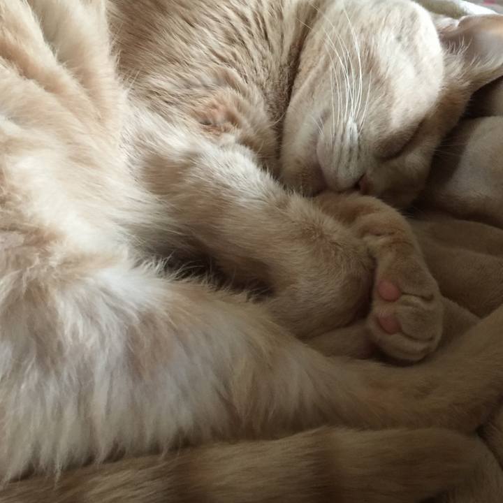 Bacb03cb e96c 4b9c 819c 31aa4617ed34 1603791004541