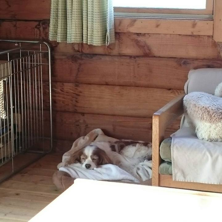 Bacb62c4 5ee6 495b 9fce 16c333d90941 1556403588905