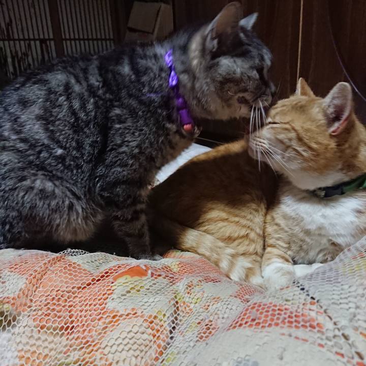 Bacb793e f59a 4fa5 bb4b e60842587ea1 1585224730147