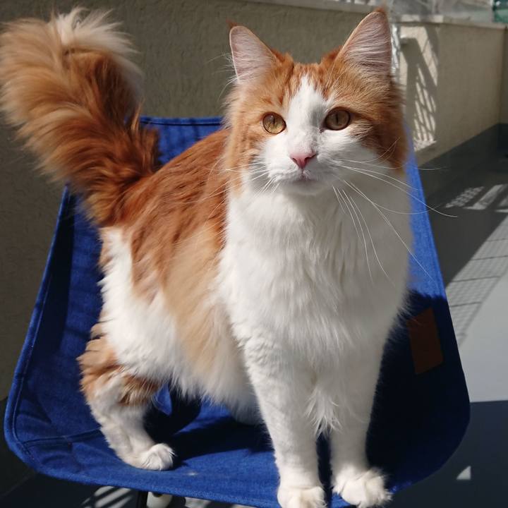 Bacb7e98 dd76 4d39 a978 c21609e11e48 1521256626972