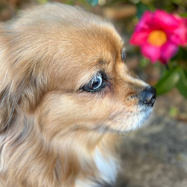 Bacb9607 7a46 4de0 98f2 6a9330894d3f 1703385110283