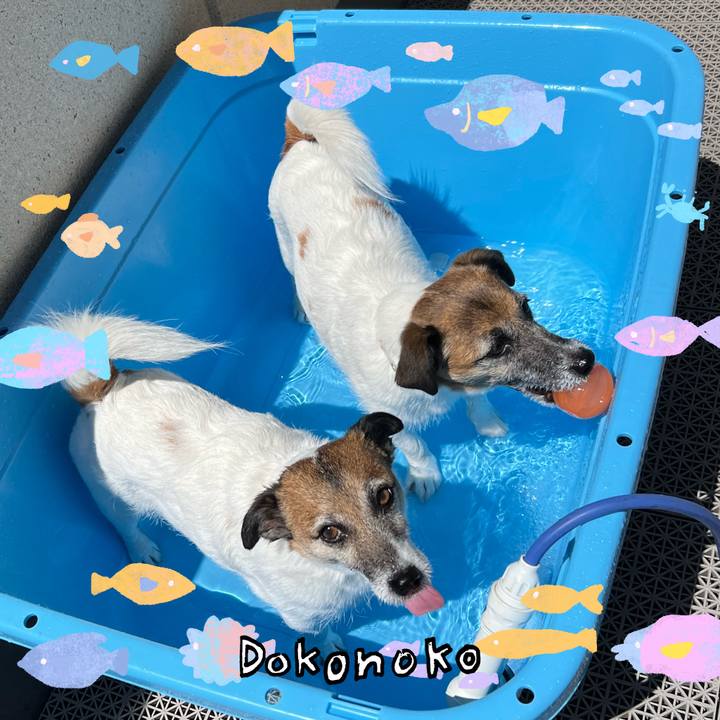 Bacbb34e 54b0 46b7 befc 74952c05a3fd 1755062992053