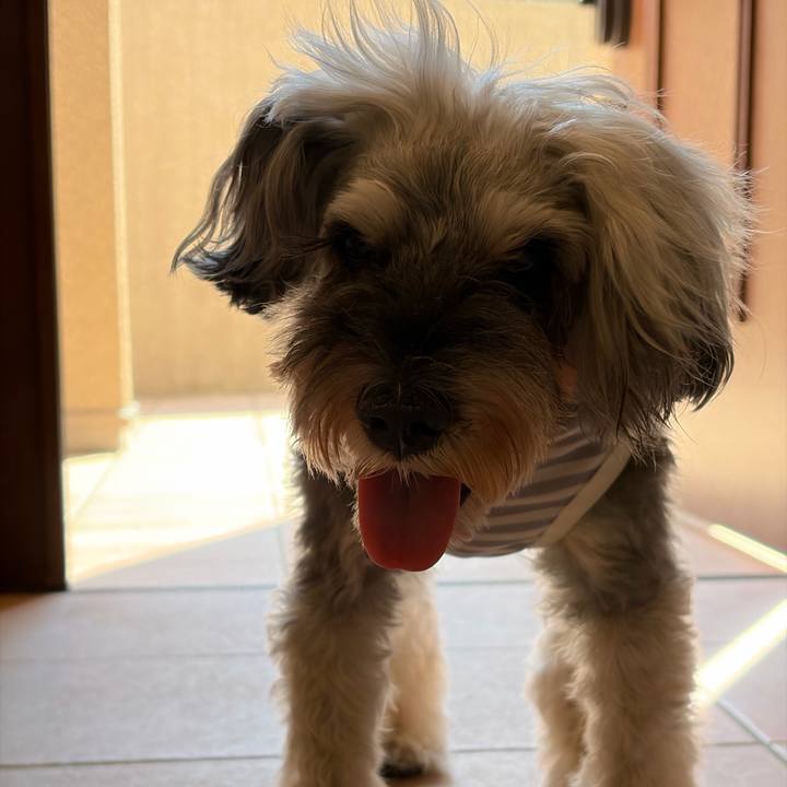 Bacbc0f0 0514 43f9 8ebd 916631e5a87b 1787023803931