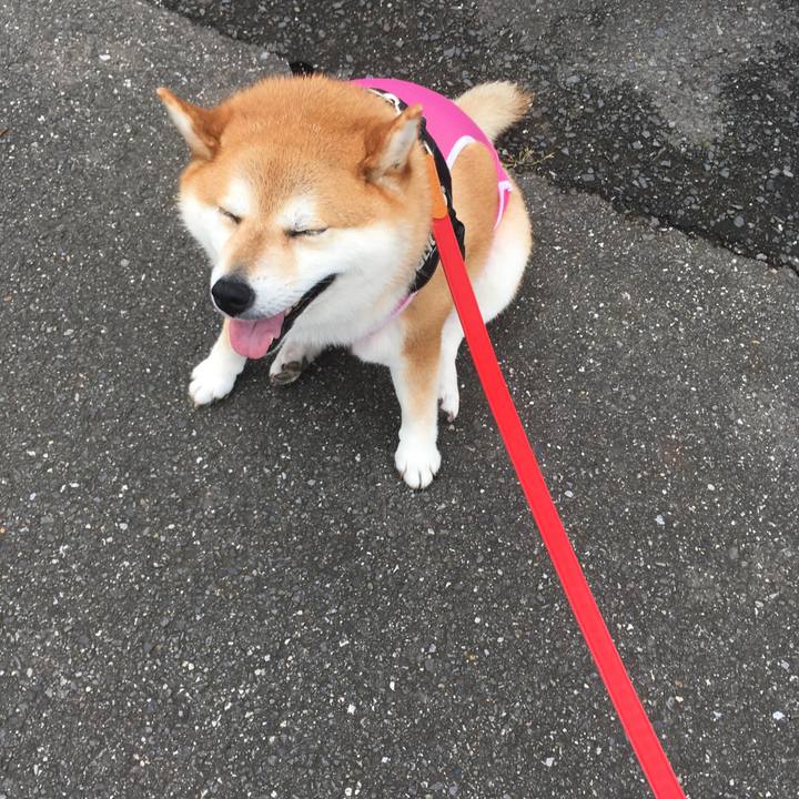 Bacbc80d 0502 49cf 9766 fc9af80165aa 1594008582269