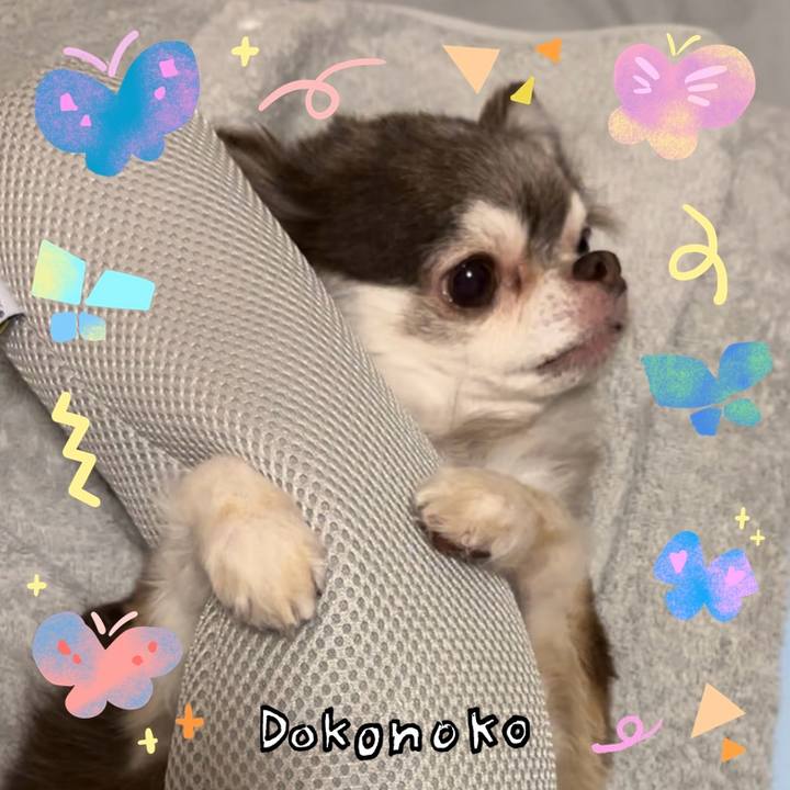 Bacbf086 9908 408a a85f 807c47e705c5 1711262901156