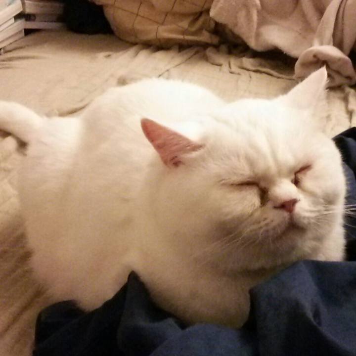 Bacbfe6f e7ed 47a8 835a b9d8195df217 1508840524636