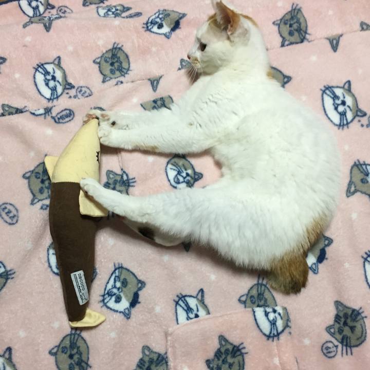 Bacbfe9f 84d2 4056 8b35 972b6cb663a1 1525518131699